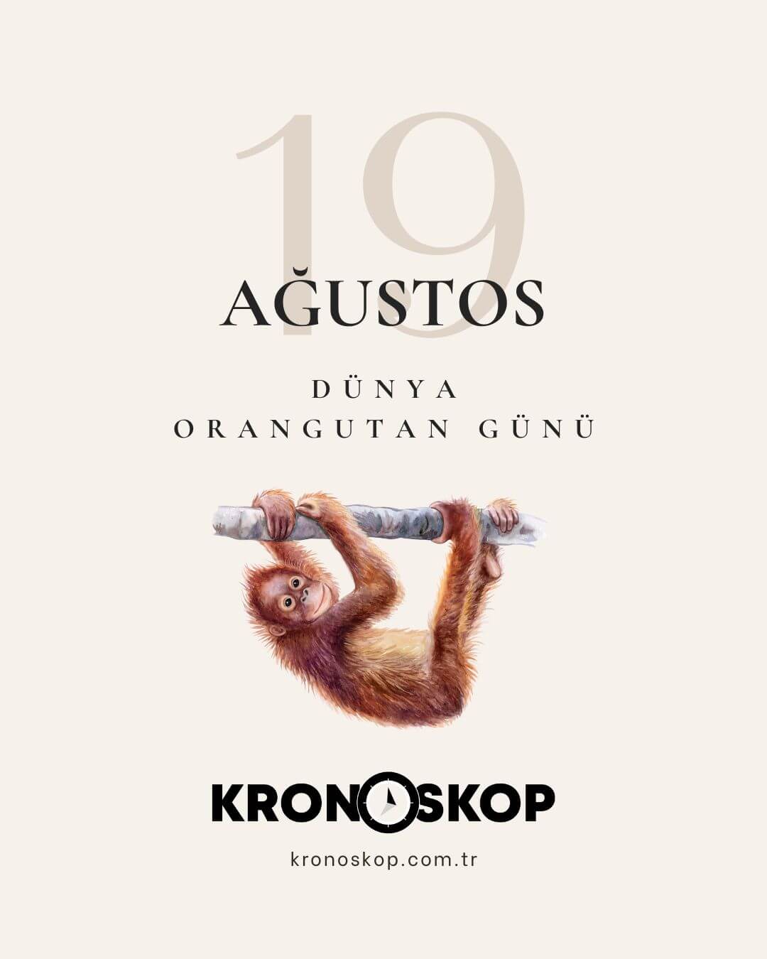 Dünya Orangutan Günü
